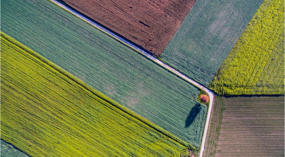 Imagen de un campo de cultivo en varios colores